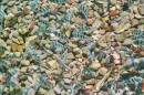 Poissons corail au bord de la plage (3) * 768 x 512 * (200KB)